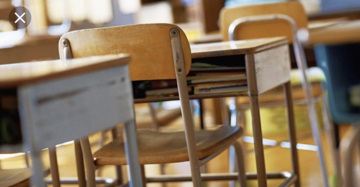 Ana Paula Fernandes tweet media