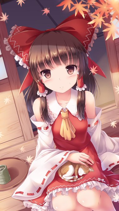 お互いに暖めあう子猫と霊夢 