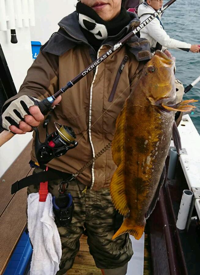 クーポン利用 カルテラス オーバーシーズ87 新品 | mcshoescolombia