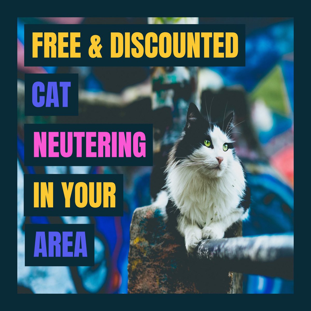 Free &amp; Discounted cat neutering schemes in your area! earningbythesea.co.uk/free-cat-neute…