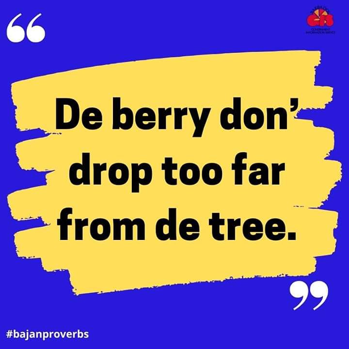 gisbarbados's tweet photo. #bajanproverbs #Barbados🇧🇧 #246 #blueyellowblack #gisbarbados https://t.co/UqD2vVHkuT