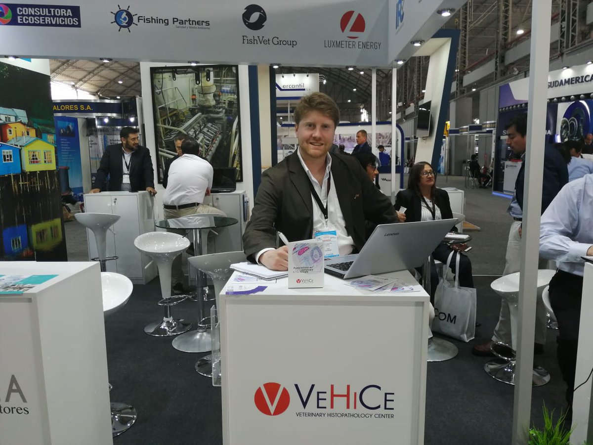 VehiceLab's tweet photo. Con GRAN participación de 11 empresas, reunidas en el NODO de exportación de servicios acuícolas, culminó la IX versión de la EXPOPESCA y ACUIPERÚ en LIMA.
VeHiCe continúa impulsando su estrategia de internacionalización de servicios. https://t.co/WrAnnNarkD