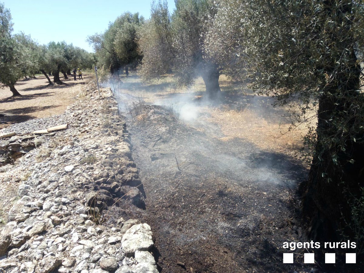 ℹAcord de col·laboració entre #AgentsRurals d'<a href="/agriculturacat/">Agricultura</a> i <a href="/territoricat/">Territori</a> per suspendre les cremes controlades en situacions d'alta contaminació ambiental 
➡️Es vol minimitzar les emissions a l’atmosfera durant aquestes situacions 
➡️Més info 👉 bit.ly/33Jh6bf