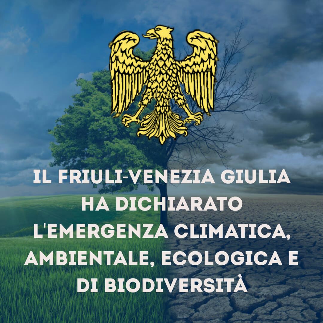 Un passo e un impegno importante! Ed ora vigileremo! 
An important commitment and step! And now we'll be watching!
#fridaysforfuture #climateemergency #Venice #saveEarth #climatejustice #FriuliVeneziaGiulia #stepbystep #extinctionrebellion