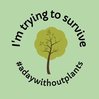 It has begun! My General Botany 2310 students and I are challenging ourselves to survive 24 hours without any help from the plant world... this is going to be hard! Follow along as we attempt to survive #adaywithoutplants 😯
<a href="/Botanical_/">Botanical Society of America</a>
<a href="/tennesseetech/">Tennessee Tech</a>