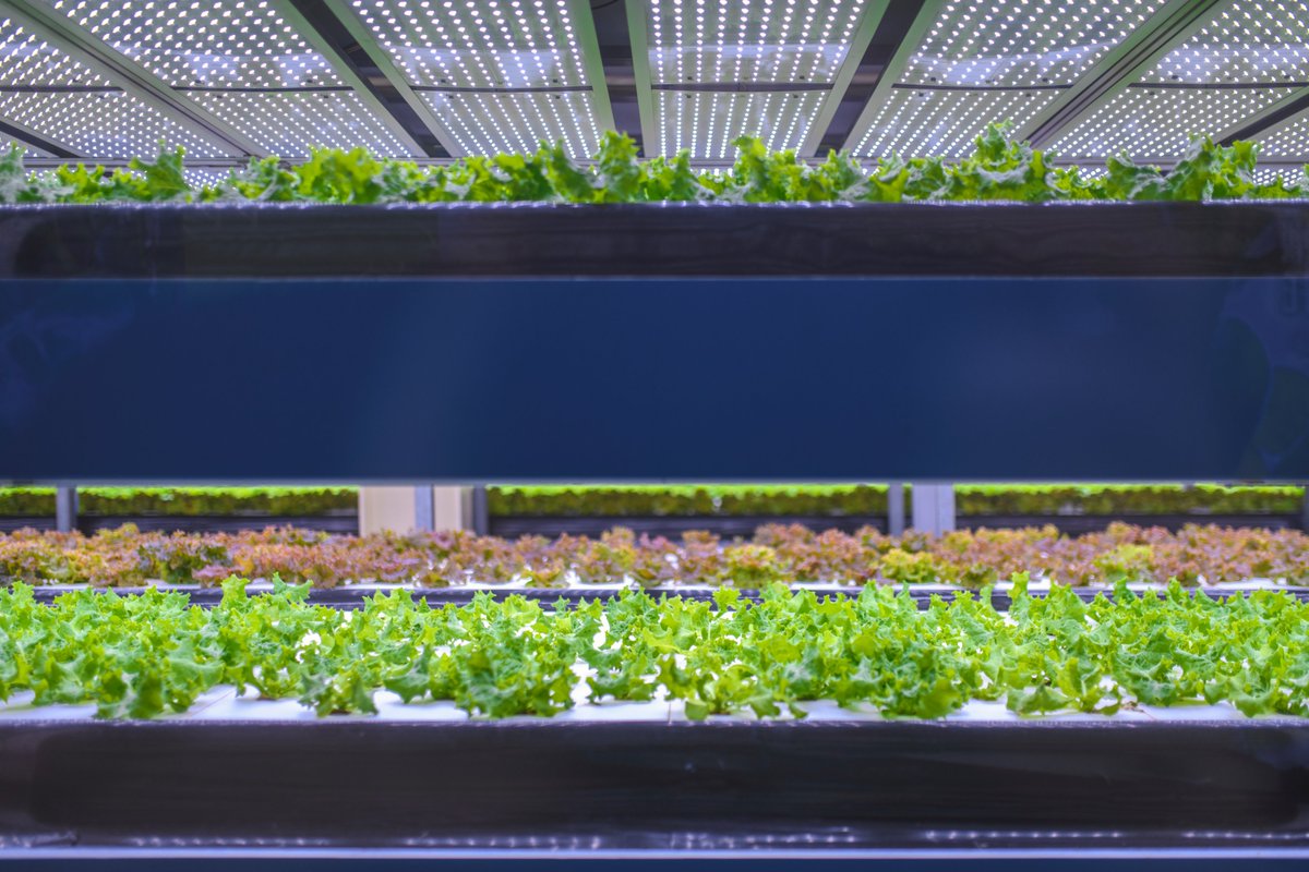 We welcome <a href="/cultinova/">Cultinova</a> as a member, who this week are championing #verticalfarming at <a href="/AGRITECHNICA/">AGRITECHNICA</a> in Hannover. Visit them in Hall 21 A05. We look forward to working with them! #CHAPmember #CEA