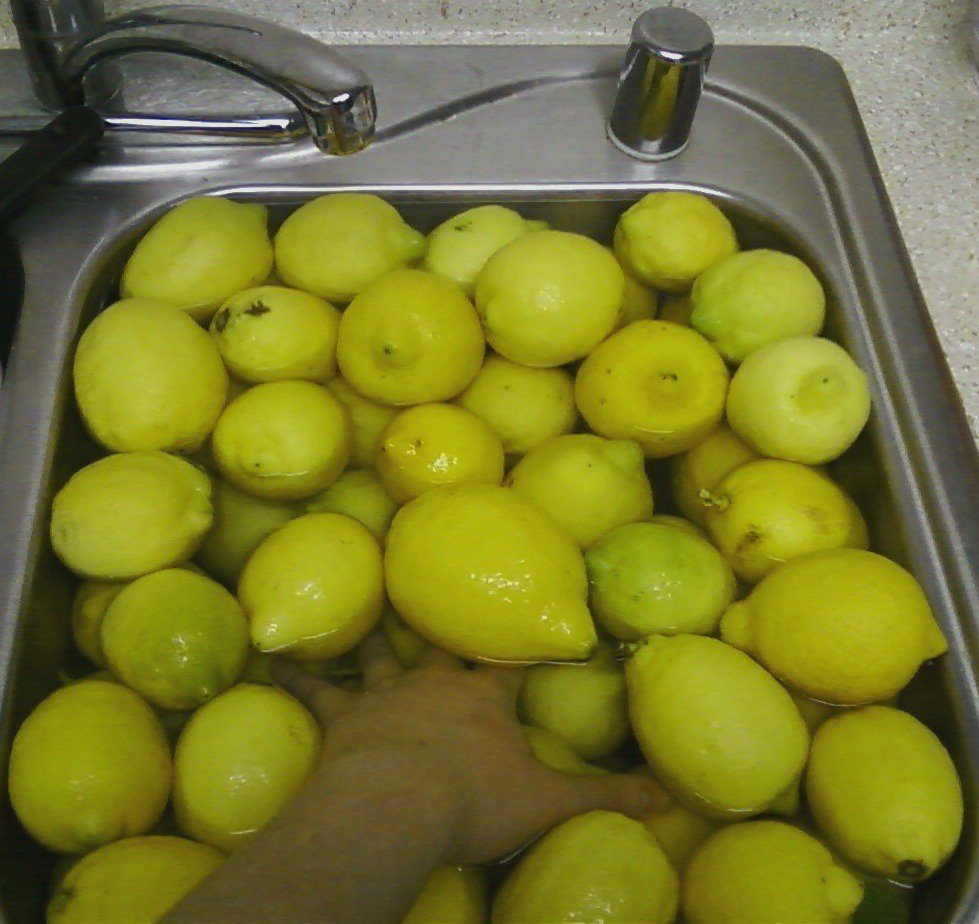 pt.2 - folder name "Fruit in Sink"