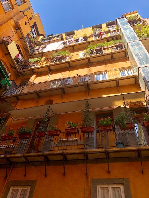 Unico Argentina Suites -- Part 1
Five Star Accommodations in an Historic Palazzo in the Heart of Rome’s Centro Storico
…https://urbantravelandaccessibility.blogspot.com/2019/11/unico-argentina-suites-part-1.html …
#Roma
#Rome
#Italy
#CentroStorico
#LargoDiTorreArgentina
#Pantheon
#CampoDeFiori
#PiazzaNavona
#JewishGhetto
#Trastevere
@bookingcom