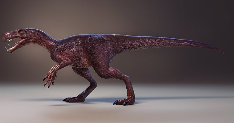 BlogDinosauria's tweet photo. https://t.co/3ql61y2ZOH
#dinosaurs #gnathovorax #dinossauros #dinonews https://t.co/nEwSXicMoM