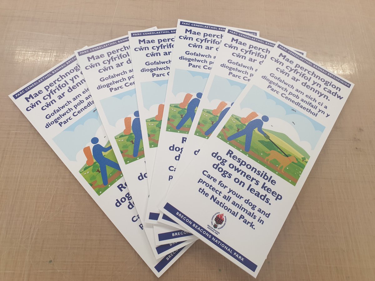 Pomegranate Creative tweet media