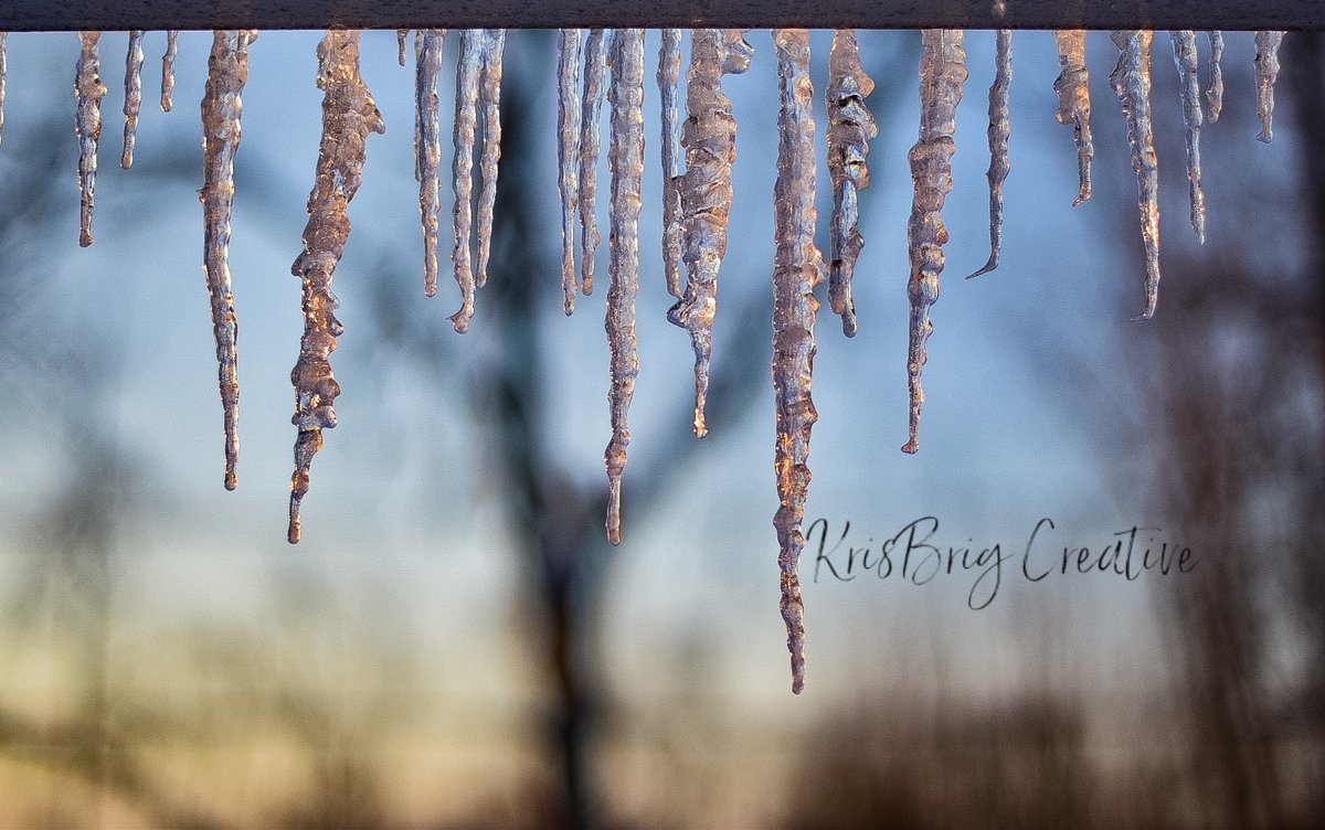 12° and frosty in Buffalo. #WinterIsHere #buffalove #krisbrig #beon2 #icicle #buffalo #photography #potd #nikon #sunrise @WGRZ @kellydudzikWGRZ @wgrzMichael @WGRZHeather @wgrz