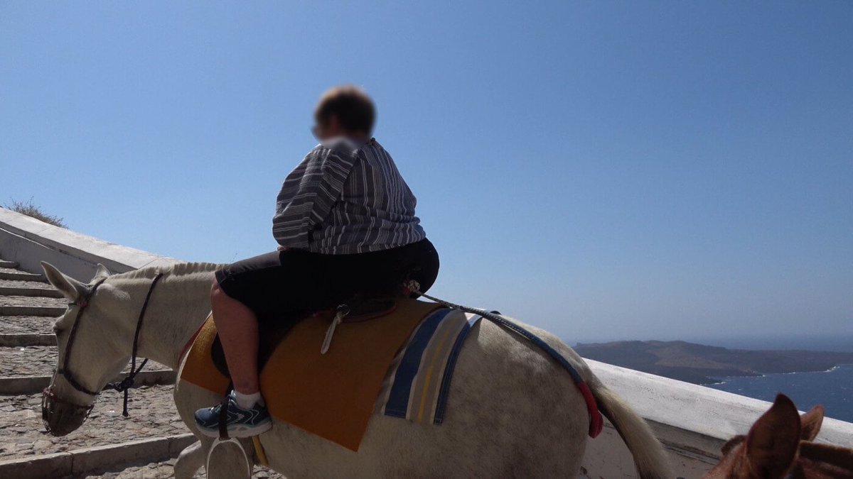 📢 STOP RIDING DONKEYS