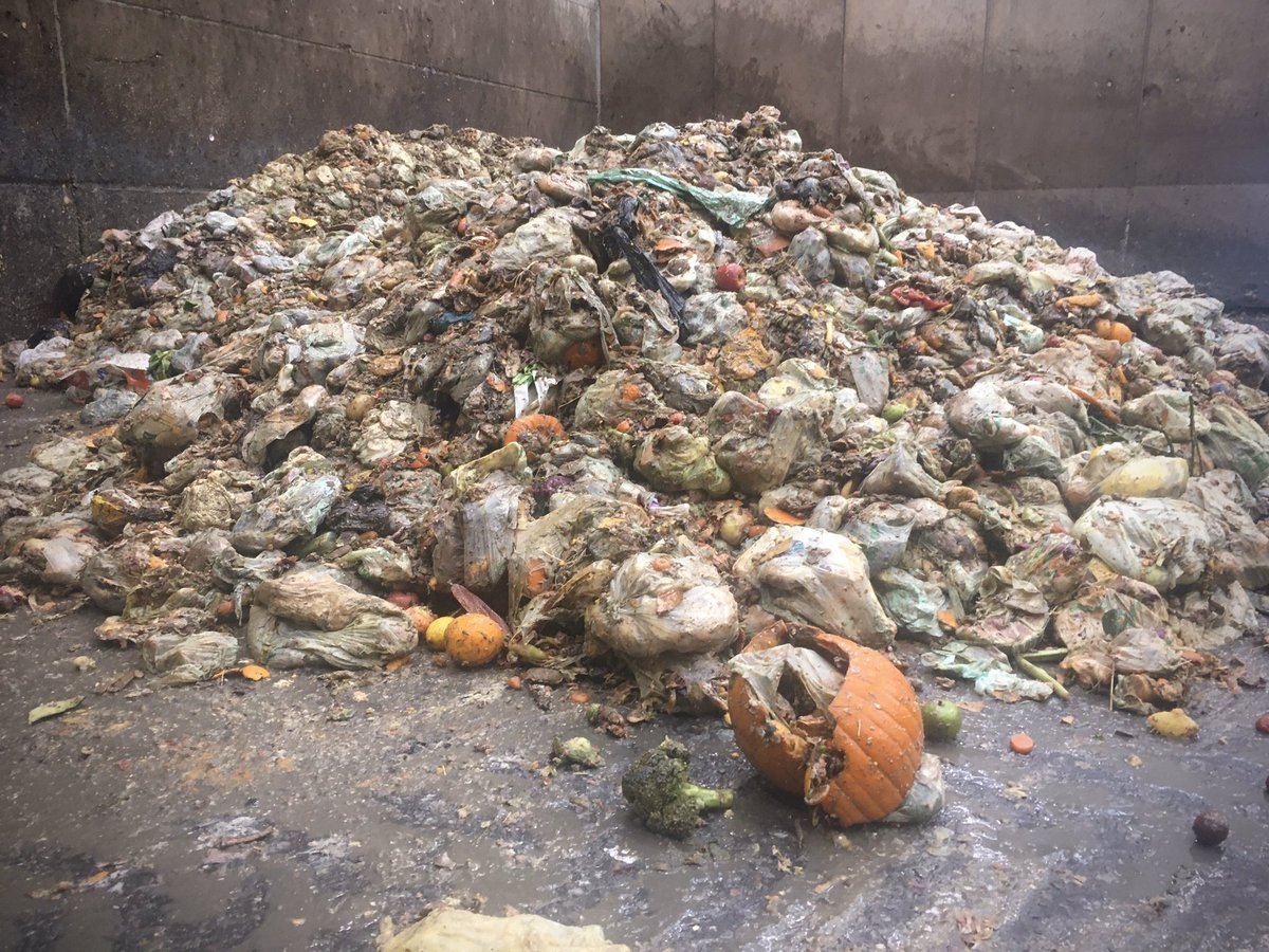 Here are some of your Halloween Pumpkins. Just 1 of these pumpkin shells could power a hairdryer for 13 minutes. 🎃♻️ #pumpkinpower