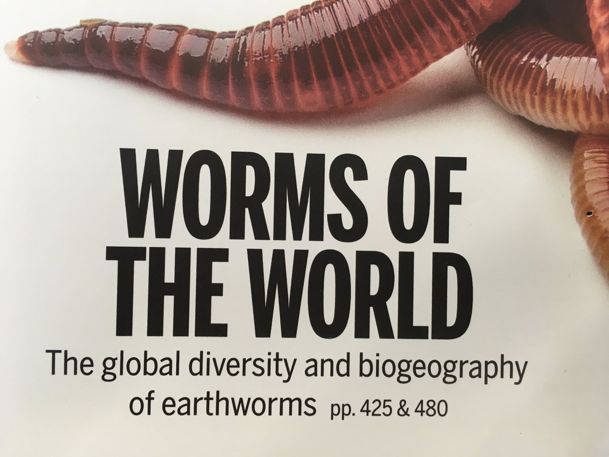 Congratulations <a href="/collembola/">Dr Crotty</a> time well spent in <a href="/ibers_PROSOIL/">PROSOILplus</a> <a href="/ibers_aber/">IBERS - Aber</a> #soilhealth