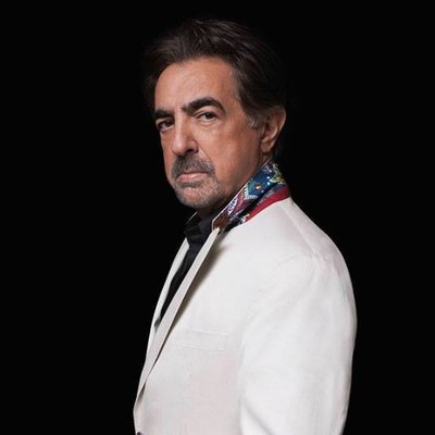 Happy Birthday dear Joe Mantegna! 