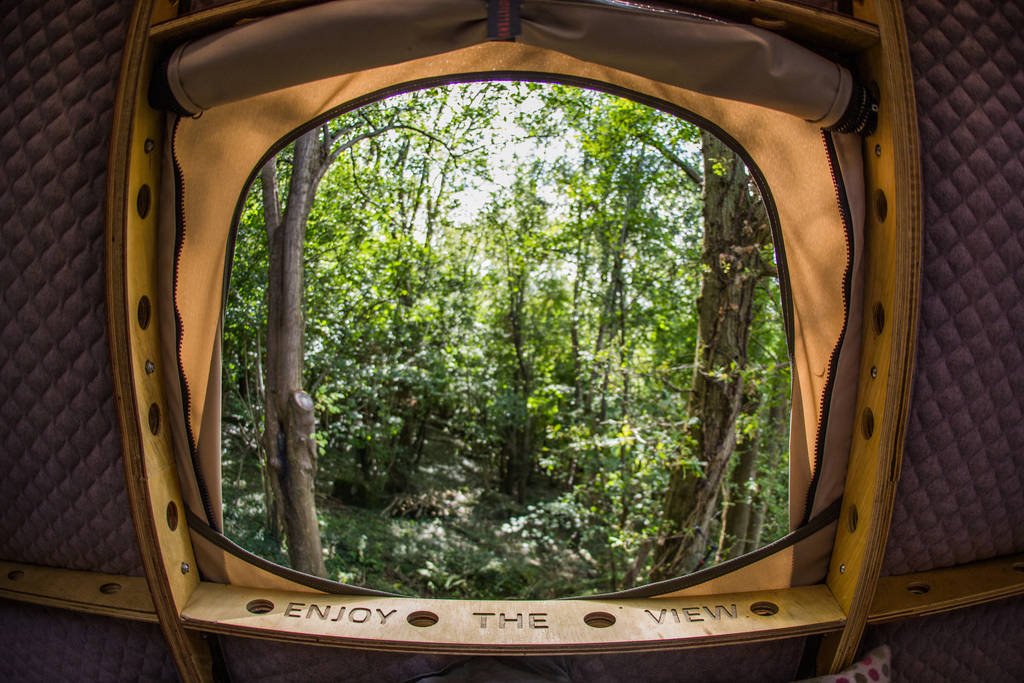 TreeTents's tweet image. We&apos;re not sure if #Monmouthshire-based Emily and Joe named their Oak Apple #TreeTent after the Oak Apple Wasp gall, but they do have similarities. Both hang in trees, both are spherical, and both structures provide a safe home to their inhabitants. Go to @canopyandstars to book!