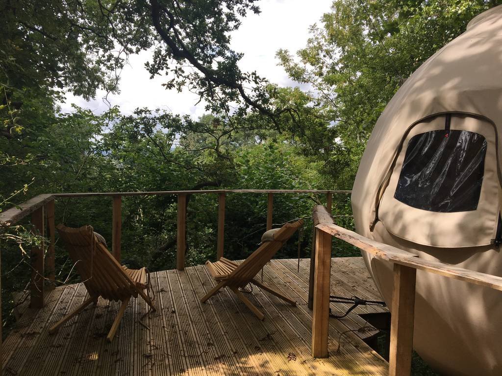 TreeTents's tweet image. We&apos;re not sure if #Monmouthshire-based Emily and Joe named their Oak Apple #TreeTent after the Oak Apple Wasp gall, but they do have similarities. Both hang in trees, both are spherical, and both structures provide a safe home to their inhabitants. Go to @canopyandstars to book!