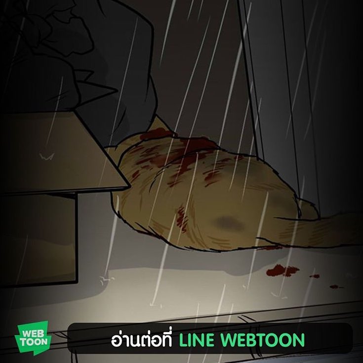 lolitascak3's tweet image. คือช็อค นางเอกบอกพระเอกว่าชอบแมว แมวฉี่ใส่นางเลยไปเปลี่ยนรองเท้า พอออกมาพระเอกจับมือ โรแมนติค นางเอกเลยว่าทำไมมือคุณเย็นจัง อ๋อ ผมไปล้างมือมา ส่วนแมวที่ฉี่ก็...