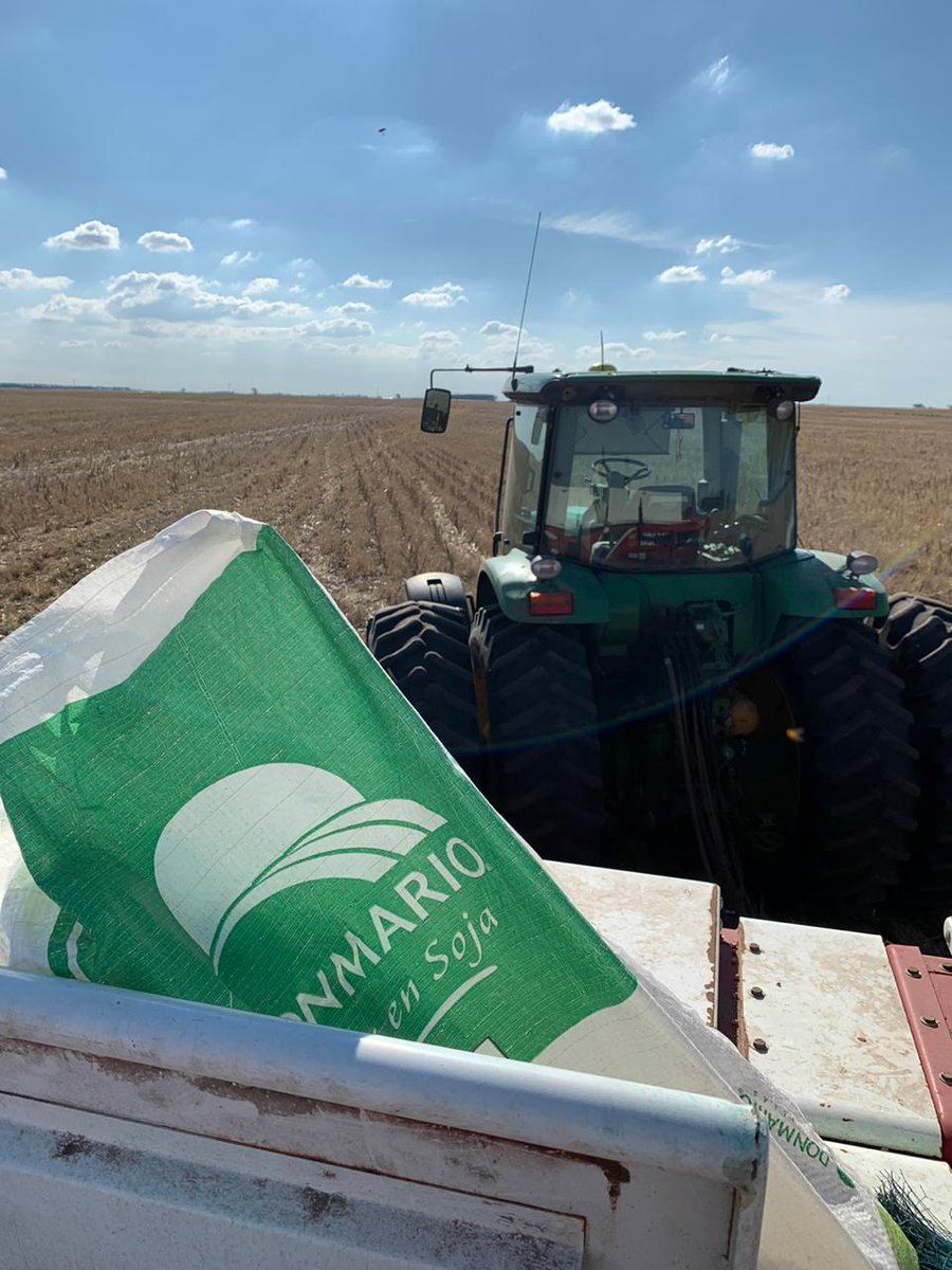 DONMARIOoficial's tweet photo. ¡Seguimos adelante con los retos de soja en el campo de Alejandro Pivotto! #DM49R19 #DM46R18 https://t.co/um0In6z3bu