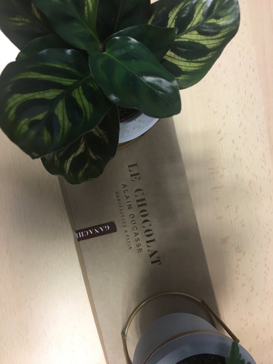 Parfois certains projets (ici déploiement d’applications mobiles) sont récompensés merci ⁦<a href="/AppScho/">AppScho</a>⁩ - l’équipe régale ses yeux et ses papilles