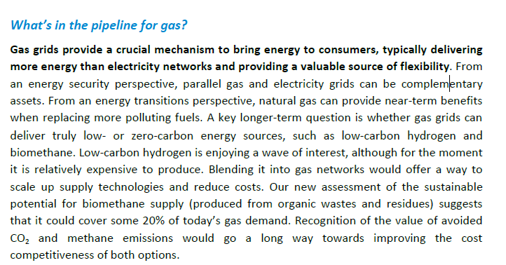 "Gas grids provide a crucial mechanism to bring energy to consumers, typically delivering more energy than electricity networks and providing a valuable source of flexibility."
