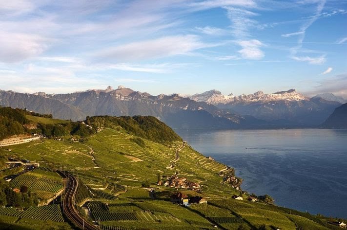 LausanneCO's tweet image. 'Switzerland Is The Next Hot Wine Destination You Need To Visit' according to @Forbes latest article that takes your through the country's key regions, including #Lavaux vineyards! 🍷 @communelausanne @montreuxriviera #MyLausanne #WineTourism
➡️ ow.ly/P9Jh50x9tMG