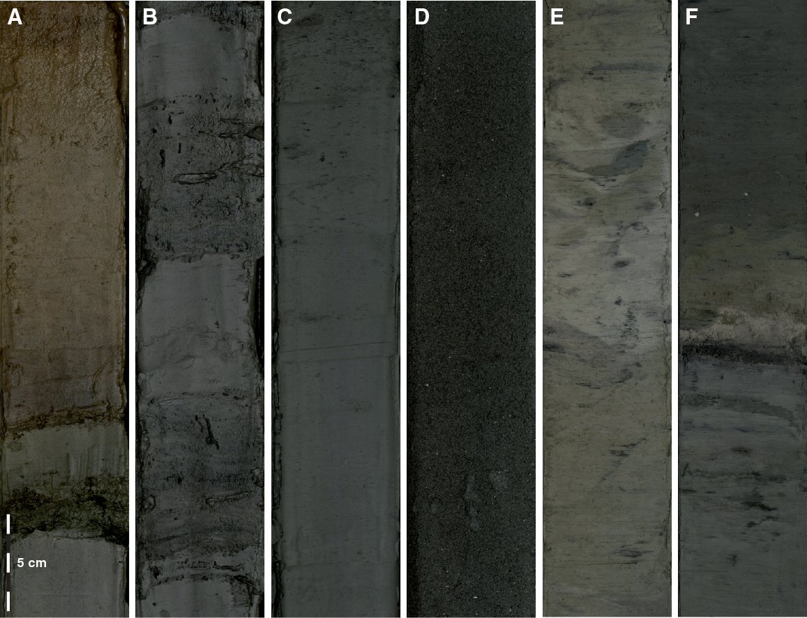 Looking for a PhD? Interested in sulfur cycling at subduction zones? Apply to come work at @Lamont_Doherty with Terry Plank, @sandro_aiuppa and me measuring marine sediment S contents/isotopes (XRF core scans & mass spec) entering subduction zones Contact: ldeo.columbia.edu/user/tplank