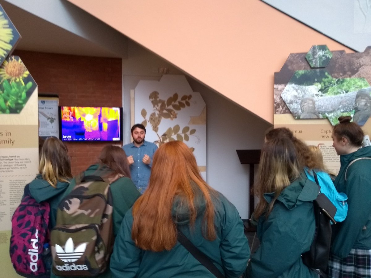 IrishPhenology's tweet image. Talking about phenology at @NBGGlasnevin #ScienceWeek2019