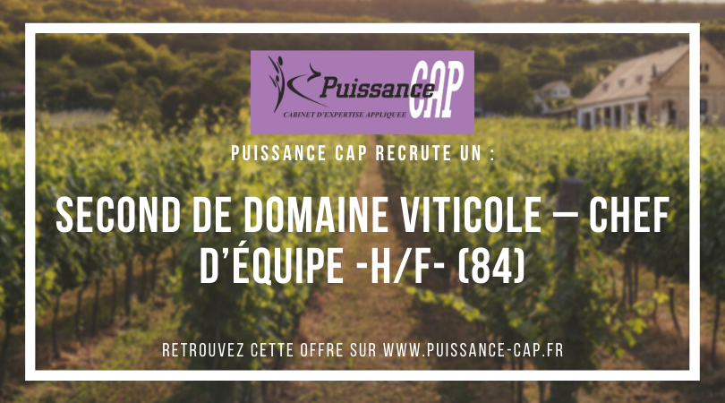 PuissanceCap_RH's tweet photo. Nous recrutons un Second De Domaine Viticole – Chef d’équipe (H/F) en CDI basé à proximité d'Orange (84) #Emploi #vin #viticulture Plus d'infos : https://t.co/M8xXKDL3yC https://t.co/lyS5qr66vq