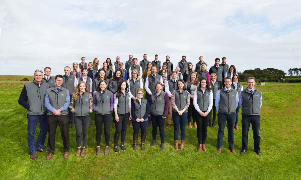 Davidson & Robertson tweet media