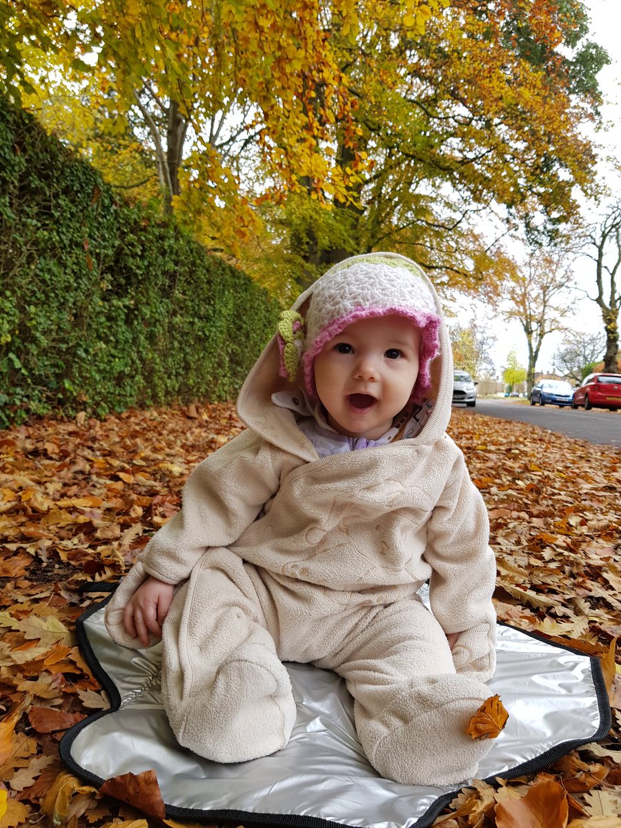 Attempting to be 'autumn creative' 🤣 won't give up the day job #snapmyautumn #littletrekkers
