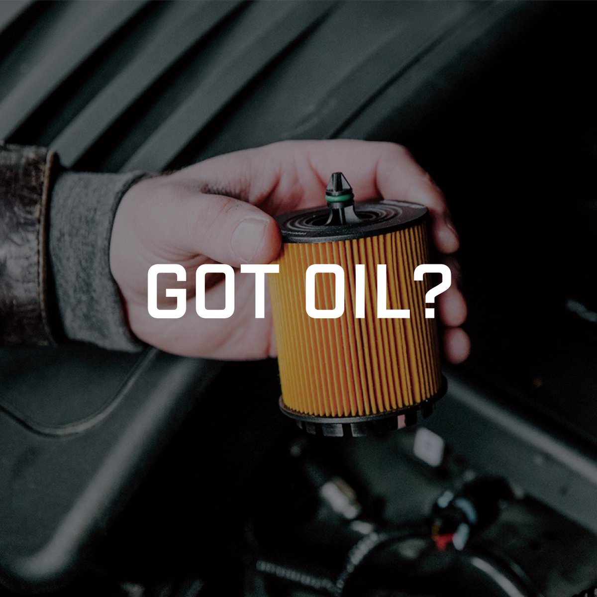 ChampionPartsSA's tweet photo. Got oil? Then you'll need an oil filter. A #Champion oil filter will ensure the oil in your engine always remains clean, doesn't leak and maintains its original quality properties. https://t.co/oKu5UhBmXX
