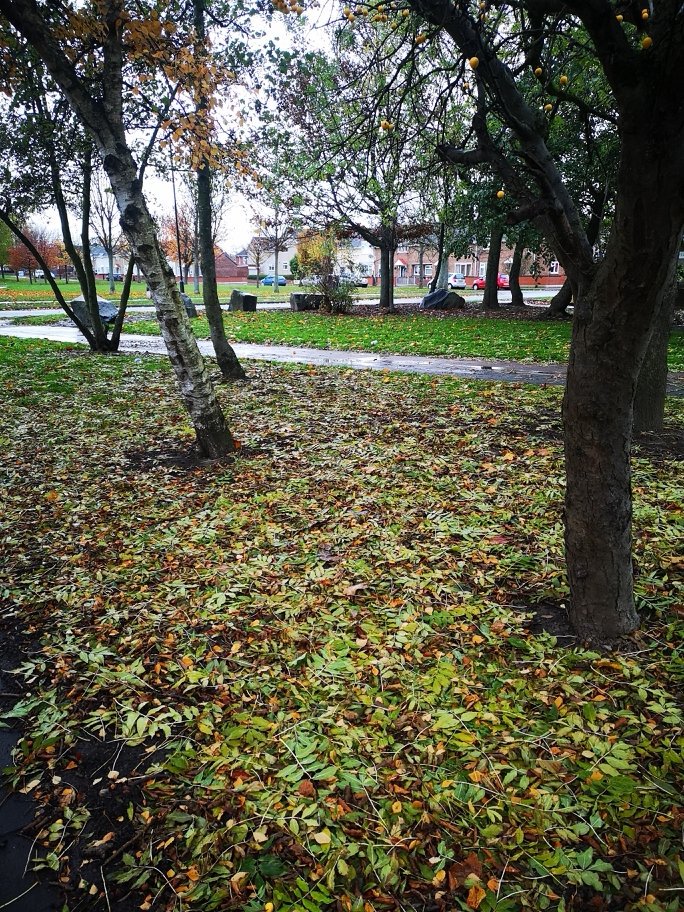 A wet and windy walkabout . I have emailed the council to see how we can work together to improve the estate. #partnershipworking #watchthisspace #Hartlepool