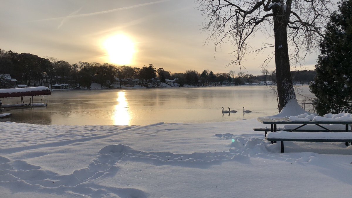 spoott's tweet photo. #swans swimming in a half #frozen #lake #PureMichigan #Michigan #weather https://t.co/pRrMrtAZzk