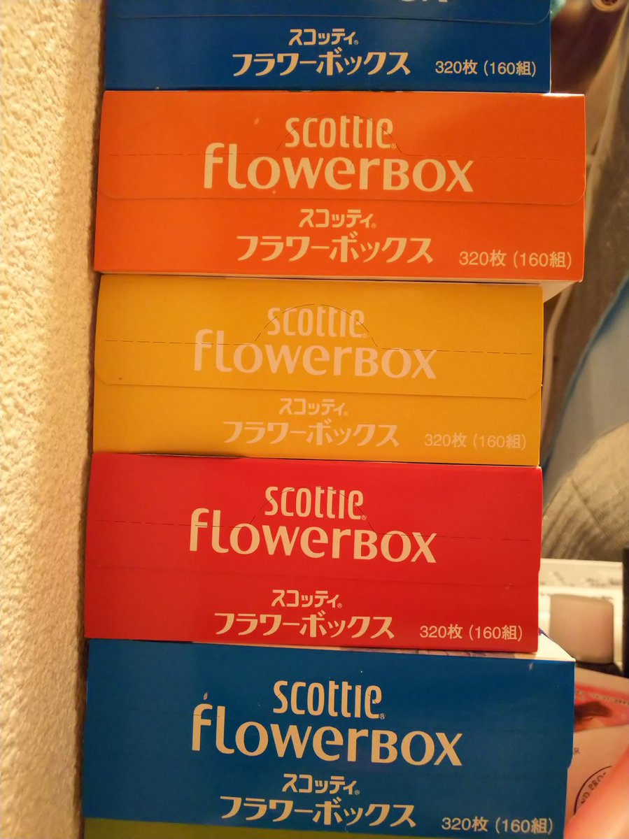 スコッティフラワーボックス Hashtag On Twitter