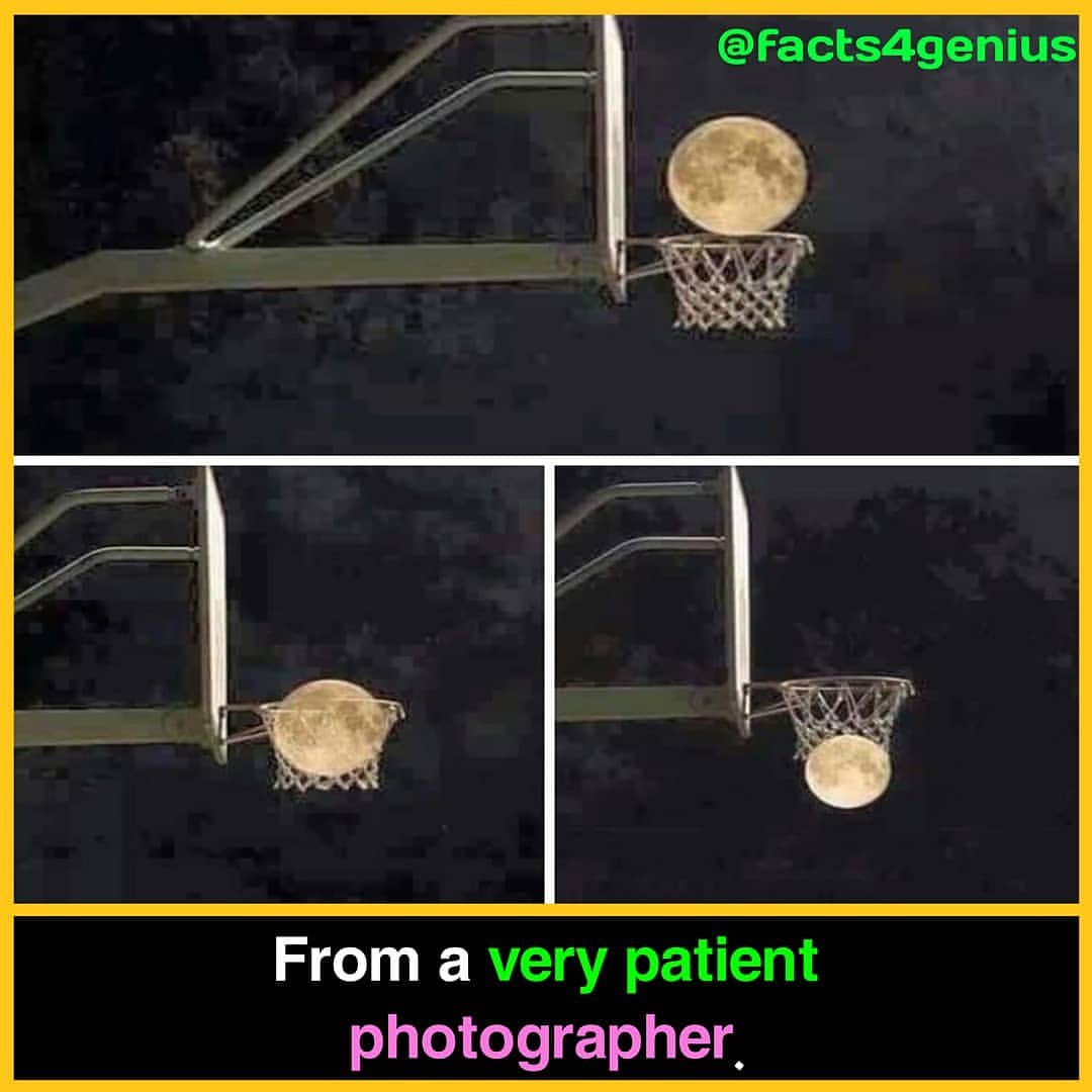 #goodnight #goodnightpost #goodnightquotes #moon #moonlight #photography #photo #patience #basketball #basket #night #nightphotography #nightlife #photographer #photograph #photographylovers