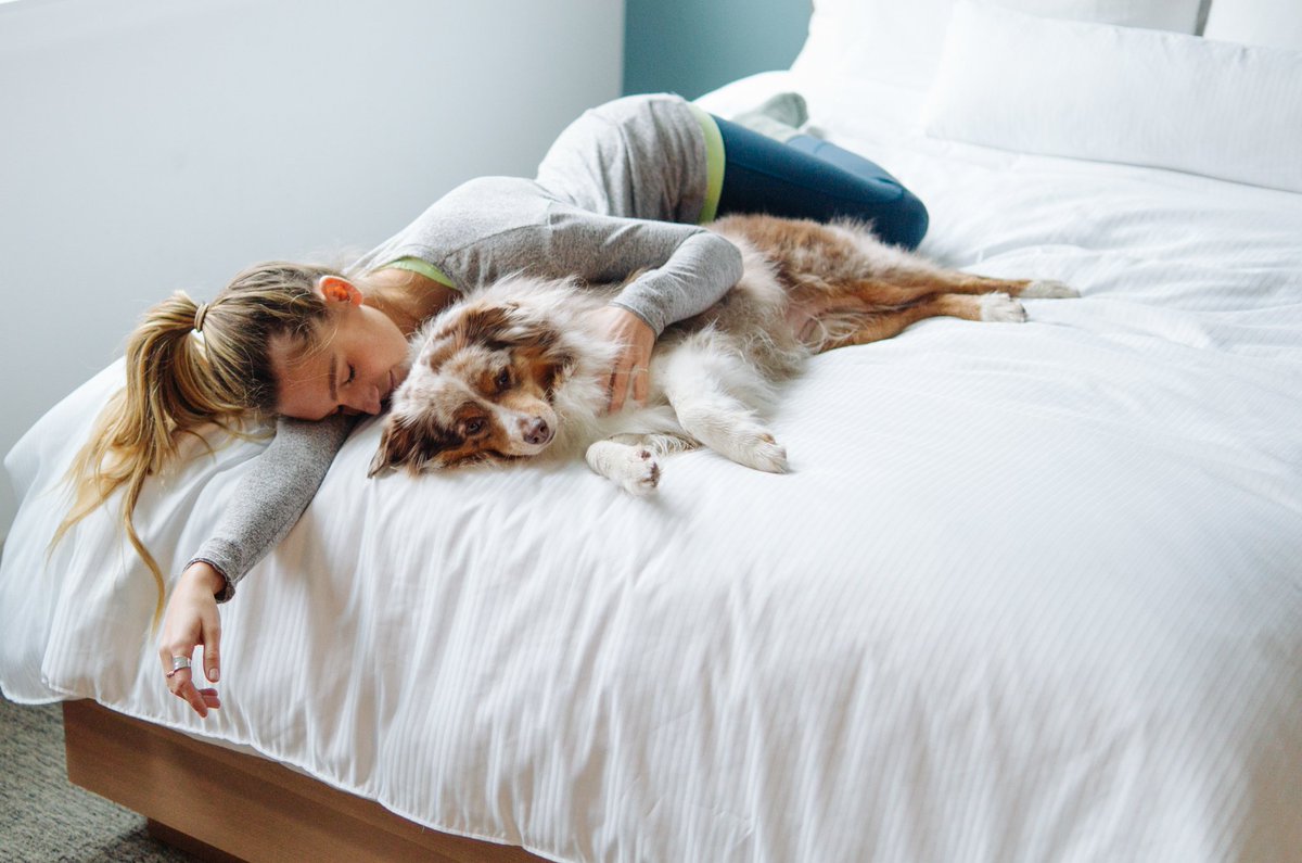 ElementDetroit's tweet image. Kindness is bringing your four-legged friend with you on your travels! #KindnessDay