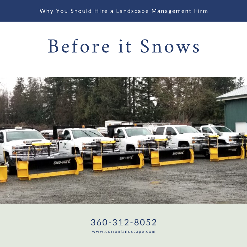 GreenEarthNW's tweet photo. Don't wait until it snows to plan for potential hazards on your commercial property.

Now is an ideal time to find a landscape management firm who can mitigate risks and keep your property clear all year long.

https://t.co/YazFrCRSdu

#landscaper #landscaping https://t.co/2aEo7xOraR