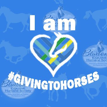 Join us in #GivingToHorsesDay on December 3 - bluebonnetequine.org/index.php/news…