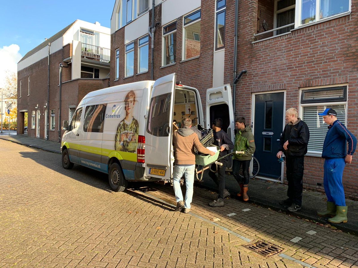 Leerlingen van Praktijkschool CSG Comenius planten stokrozen op het Vliet. Initiatief van het wijkpanel.