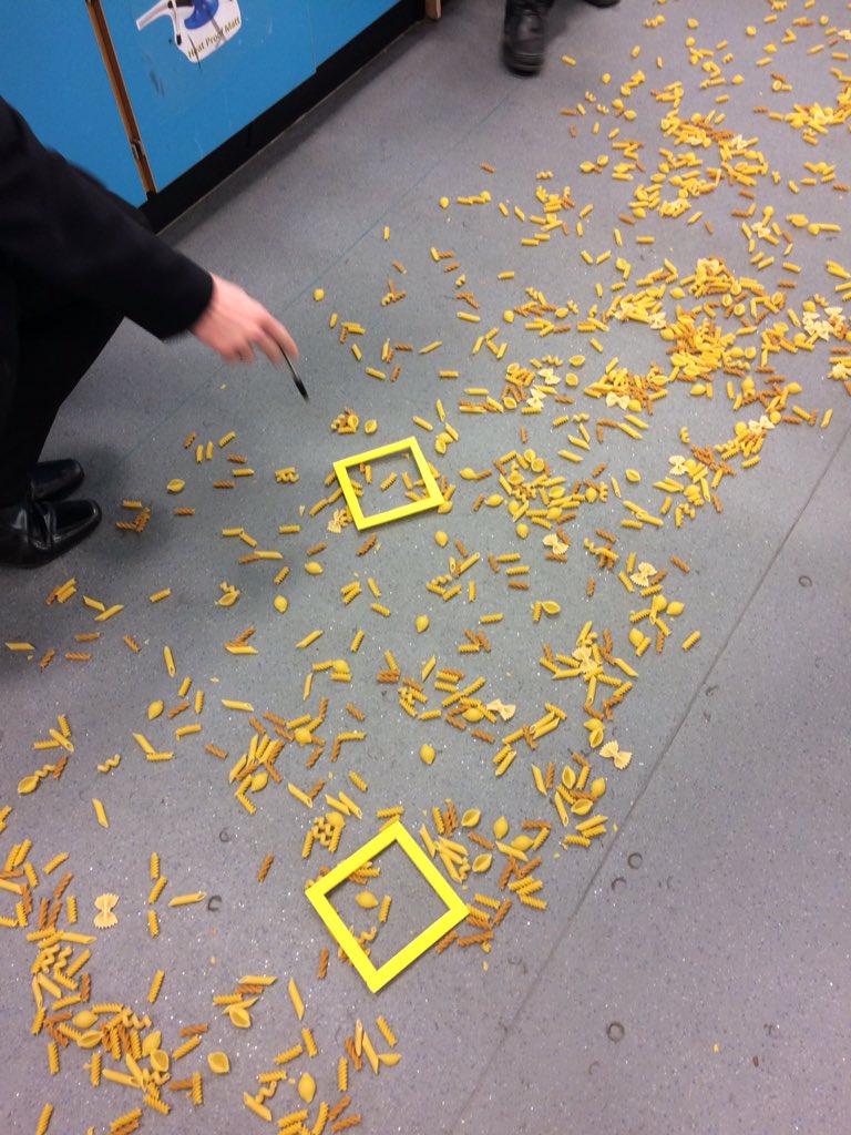 MrsWindross's tweet image. Wet weather quadrats #pasta #randomsampling #requiredpractical #pasta #daisiesinthesummerandpastainthewinter #ormesbyoutwood #teamscience