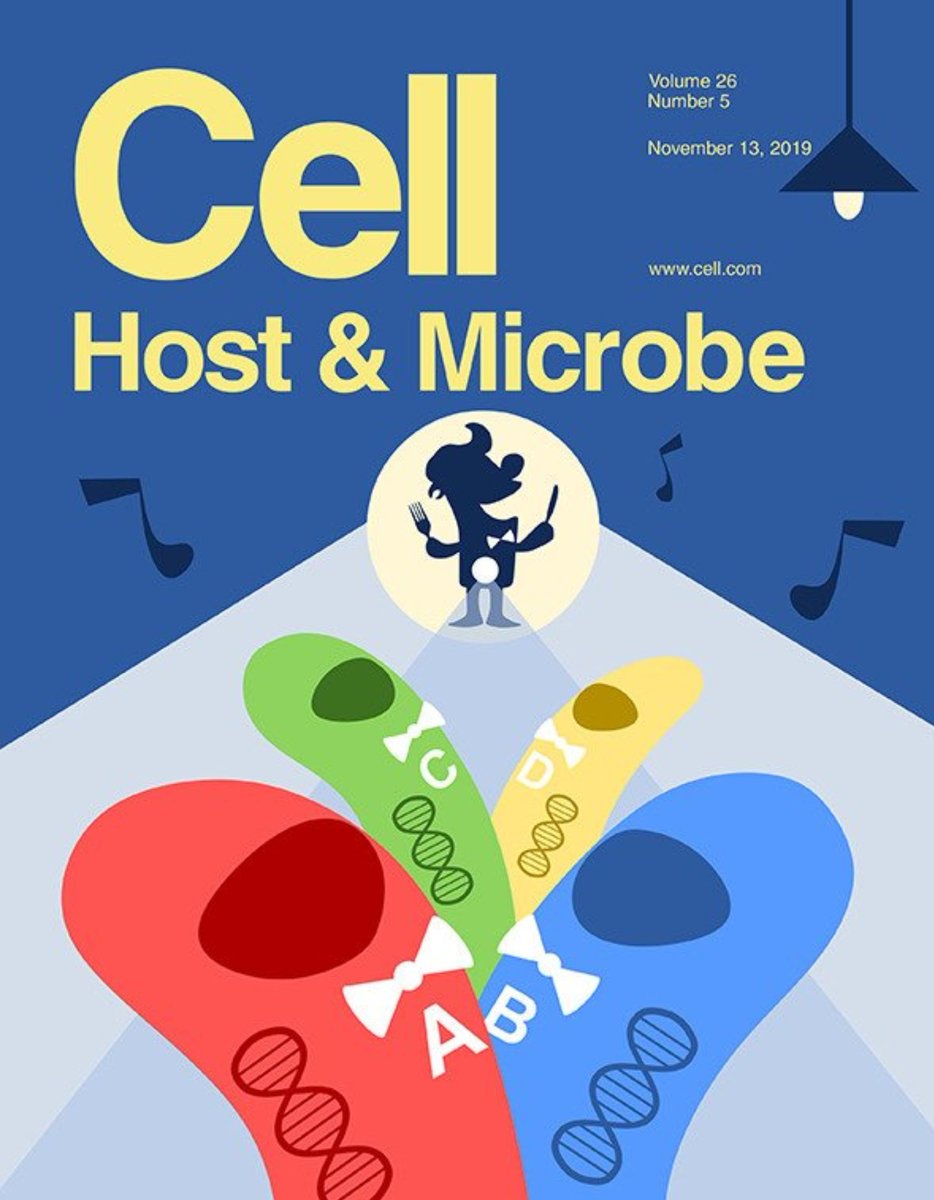 Excited to announce that our 2 papers on the Prevotella copri complex are out this week alongside a P. copri themed cover by Eleonora Nigro! cell.com/cell-host-micr…