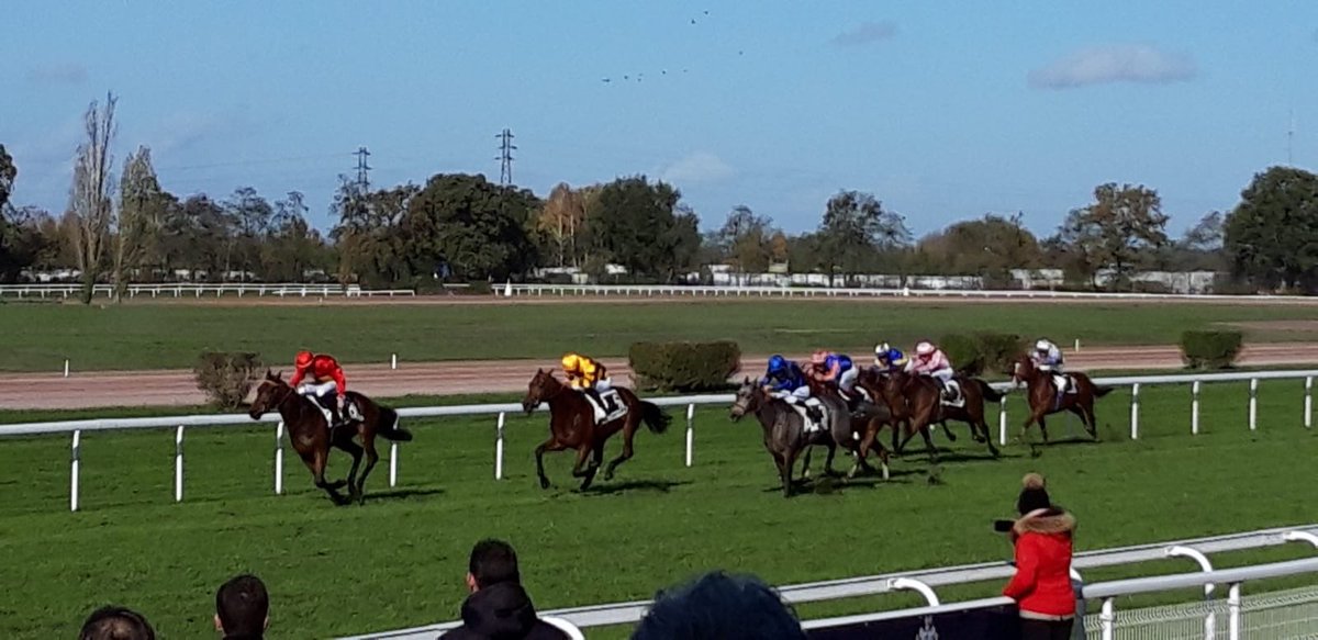 lefebvrefabien1's tweet photo. A very good 5th place, for my only ride today at Angers🇫🇷, with #TotoEstSorti in the “Grand Prix d’Angers” Classe 1.

He is trained by @NicBellanger and owned by @Huderie. https://t.co/2qvOGpK8uC