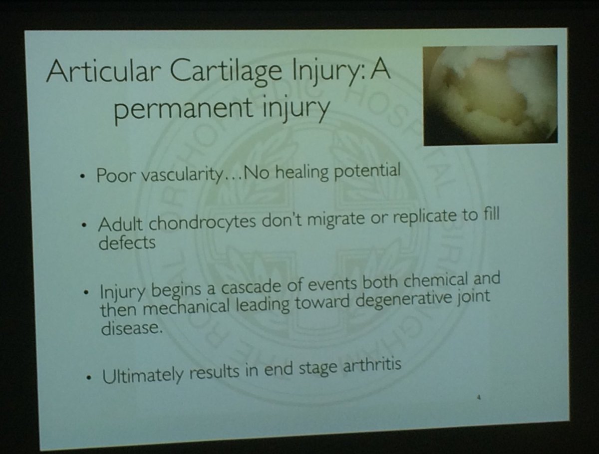 gds115gds's tweet photo. Excellent presentations ⁦@MidlandOrth⁩ with poor evidence to support microfracture ⁦@uworcphysio⁩ ⁦@SMeadowsphysio⁩ ⁦@tash_dent⁩ ⁦@BartoloCraig⁩ https://t.co/DvmpJDMkXX