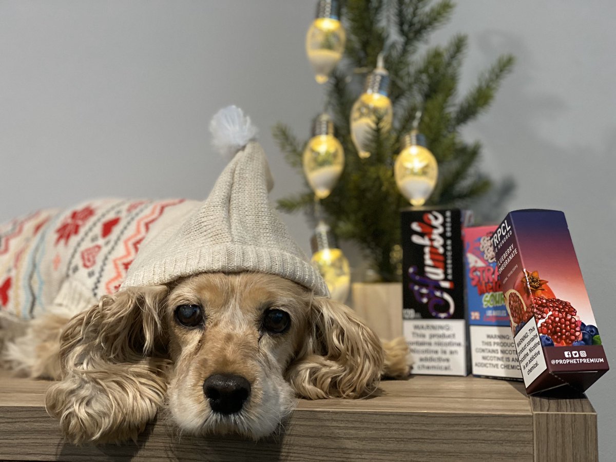 vapedealcom's tweet photo. We are getting ready for Christmas at VapeDeal! (Including the pups)🐶🎄
•
•
•
#vape #vapenation #vapeporn #eciggarette #vaping #vapin #vapinglife #vapelifestyle #vapelifestylez #vapegod #vapegods #vaperazzi #vapedaily #vapealldayeveryday #vapeescape #christmas #christmassale https://t.co/BjlKDvFo1I