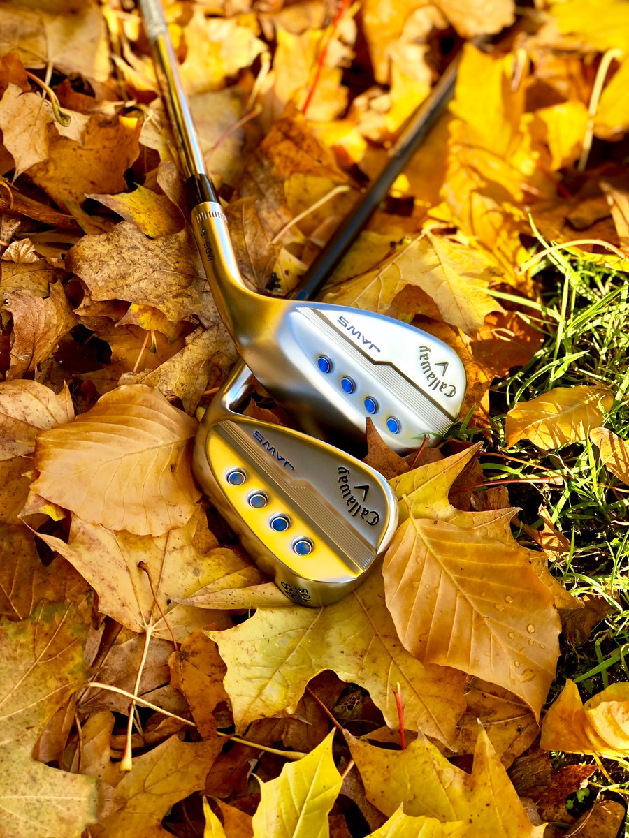 CallawayGolfEU's tweet photo. Autumn wedge goals. 🍂🍁🧡
#WedgeWednesday 🦈 #JawsMD5 https://t.co/0euCauI1Ky
