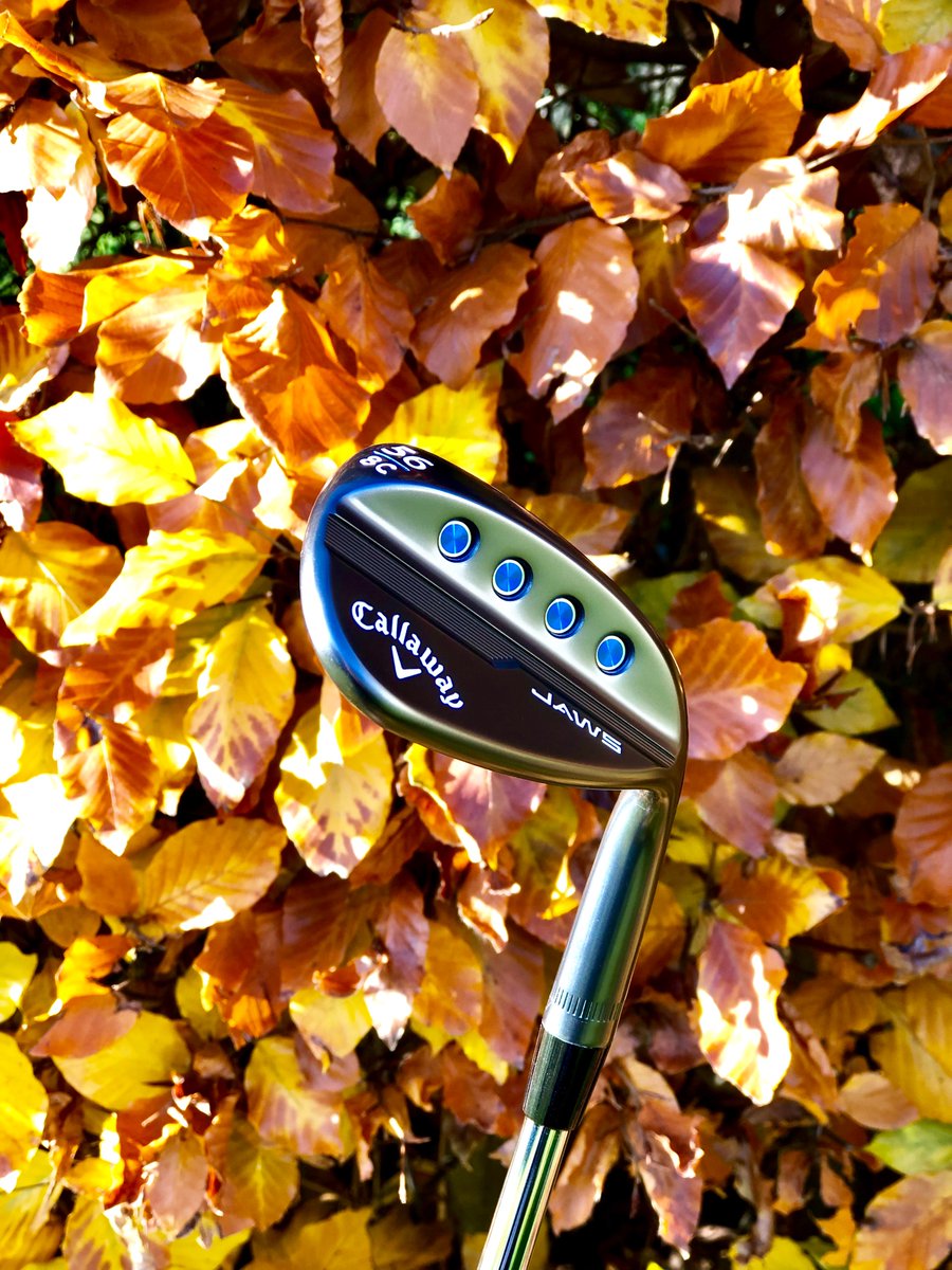 CallawayGolfEU's tweet photo. Autumn wedge goals. 🍂🍁🧡
#WedgeWednesday 🦈 #JawsMD5 https://t.co/0euCauI1Ky