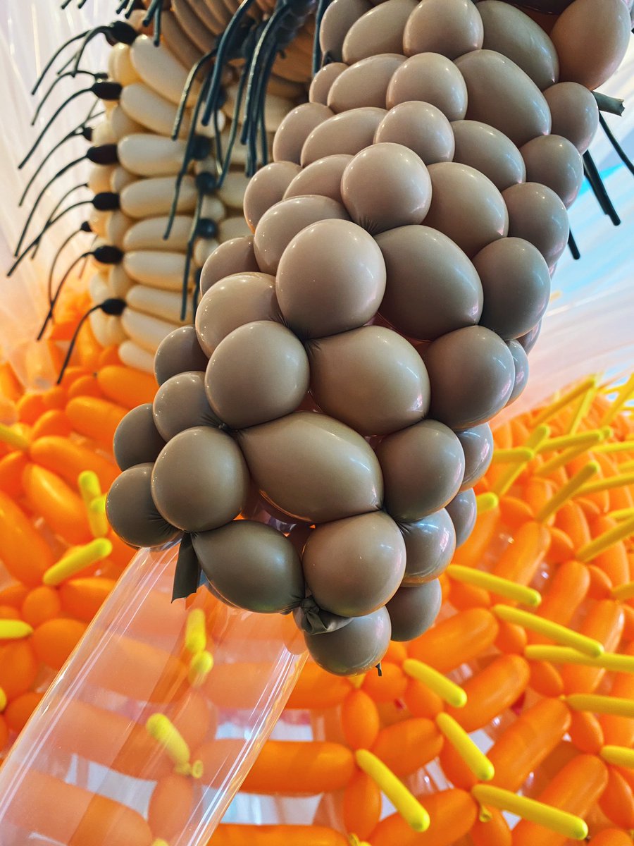 VisitSPC's tweet photo. A little sneak-peek at #JasonHackenwerth’s amazing balloon sculpture for @PinellasArts’ Arts Annual Fundraising Gala & Art Exhibit tomorrow night. It’s going to be epic! 🎈🎨 🖼 🥂 #LiveAmplified
More info here 👉🏼 https://t.co/3AGpifvS5u https://t.co/QjOFGii4Km