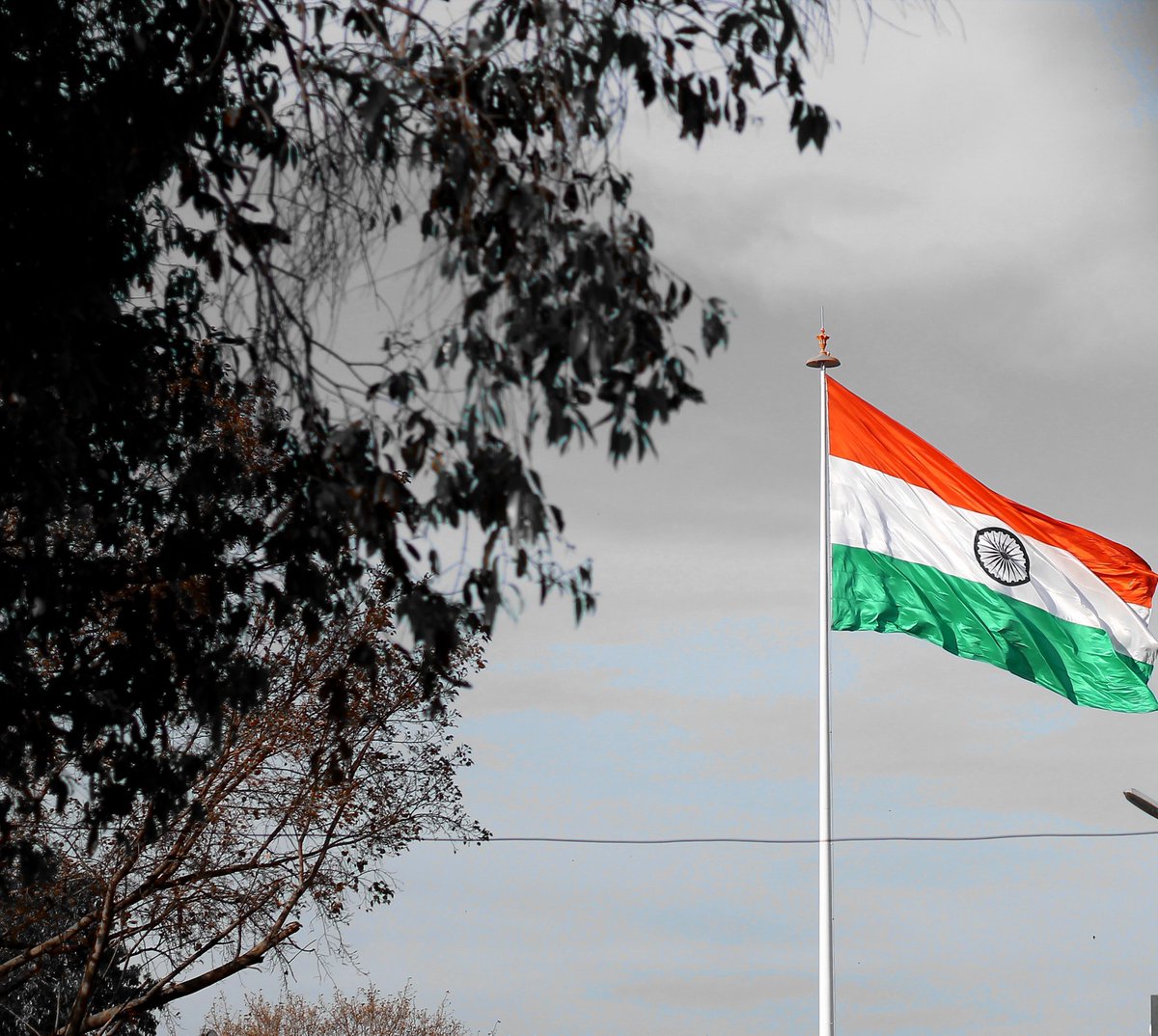 A  #thread of pics clicked by me  do share ur suggestions..To start with  #IndianFlag  #tiranga  #BharatMeriJaan