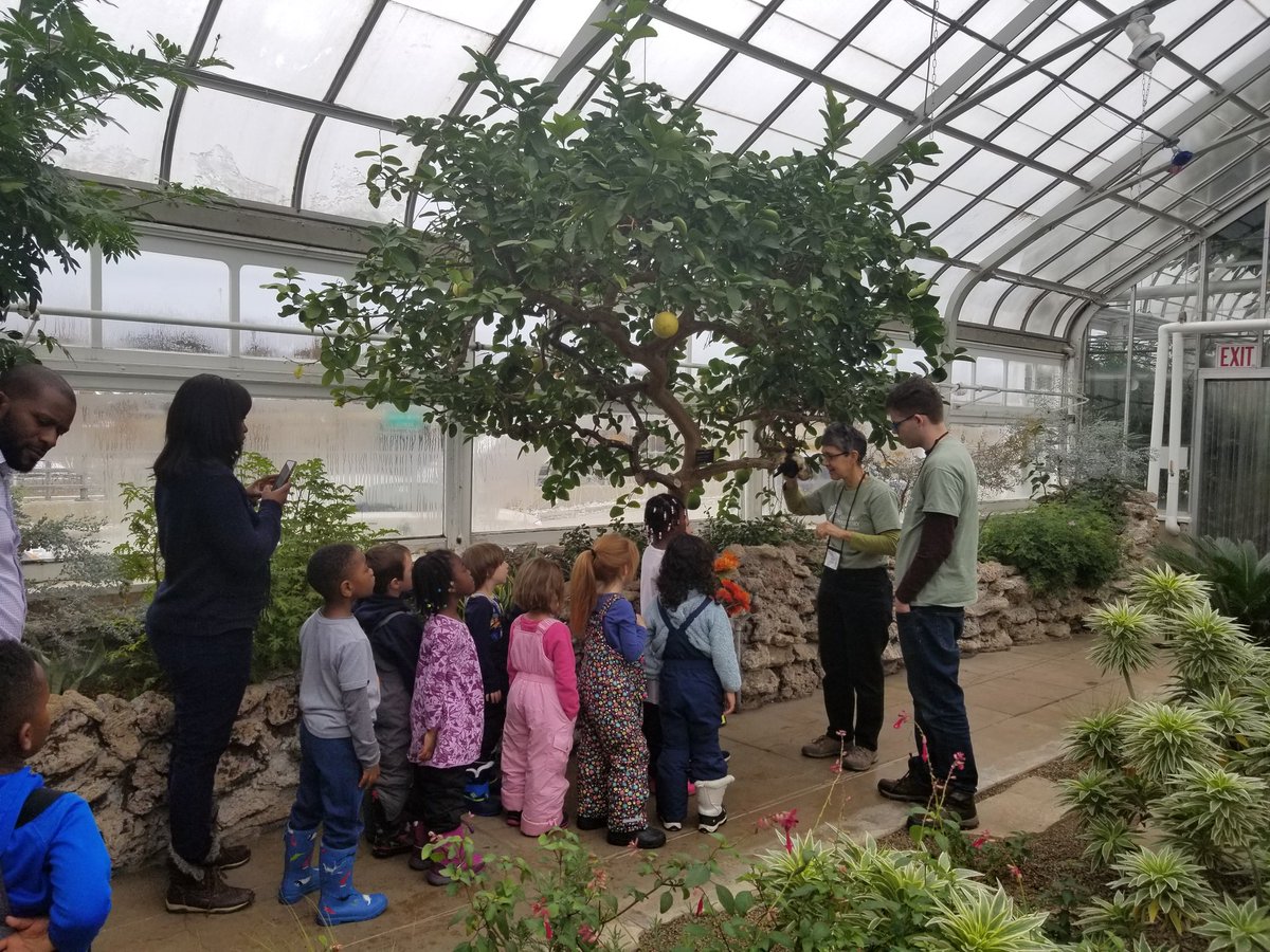 TLaw100's tweet photo. This morning I had the opportunity to visit the Oak Park Conservatory with a kindergarten class from Longfellow. I was so impressed by what our students know about plants! #weareD97 https://t.co/Upc2v3nwnW